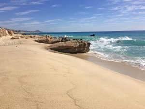 El Tule Beach, Playa El Tule, Cabo San Lucas, February 2016