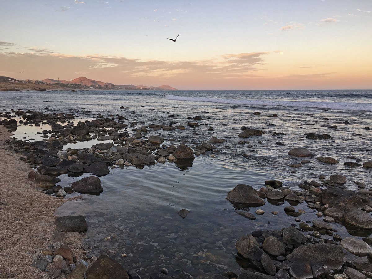 el-tule-cabo-21-feb-16-jat-i_3410-r2 - Cabo San Lucas Beaches