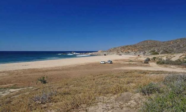 Playa La Curva