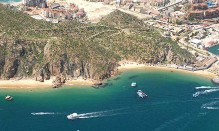 Cannery Beaches