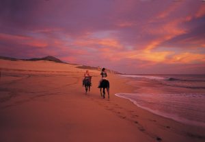 el-faro-viejo-beach-cabo-035_r2