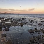 El Tule Beach, Playa El Tule, Cabo San Lucas, February 2021