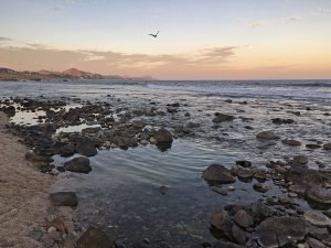 El Tule Beach, Playa El Tule, Cabo San Lucas, February 2016