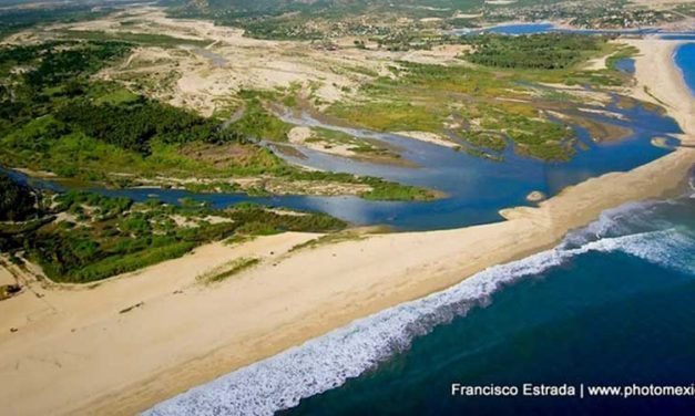 Estuary Beach