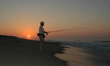 Surf Fishing