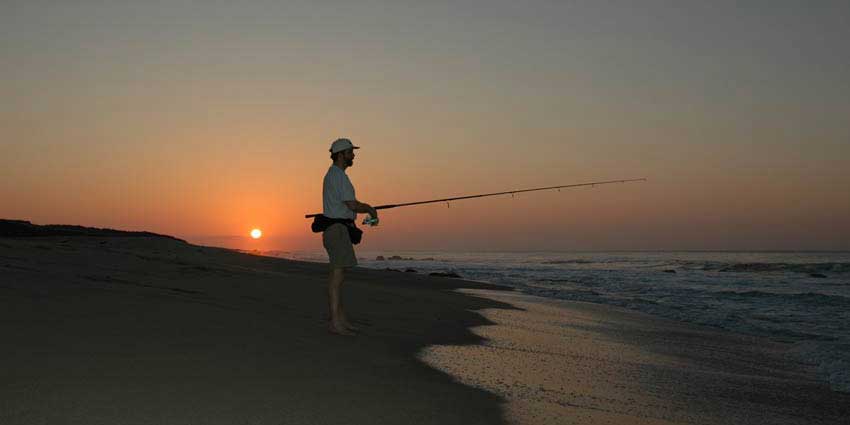 Surf Fishing