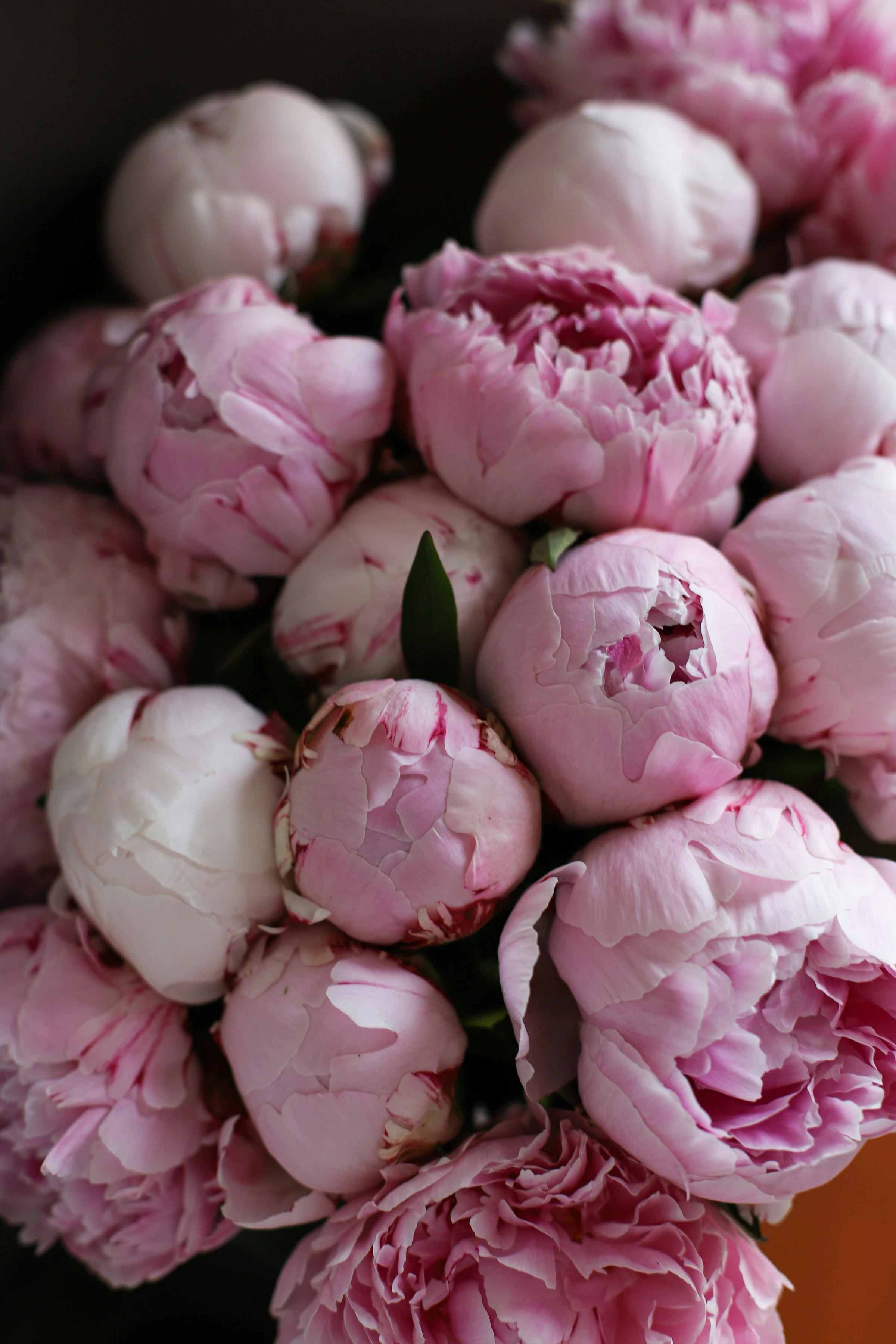 Blush peony flower bouquet for a wedding, hand tied with silk ribbon