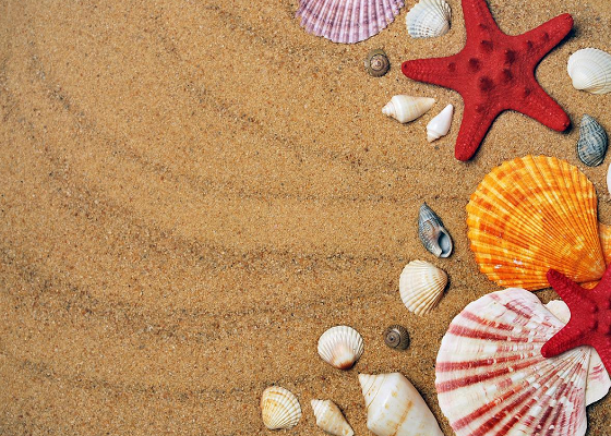 Visiting Mexico? Here are some things to consider...